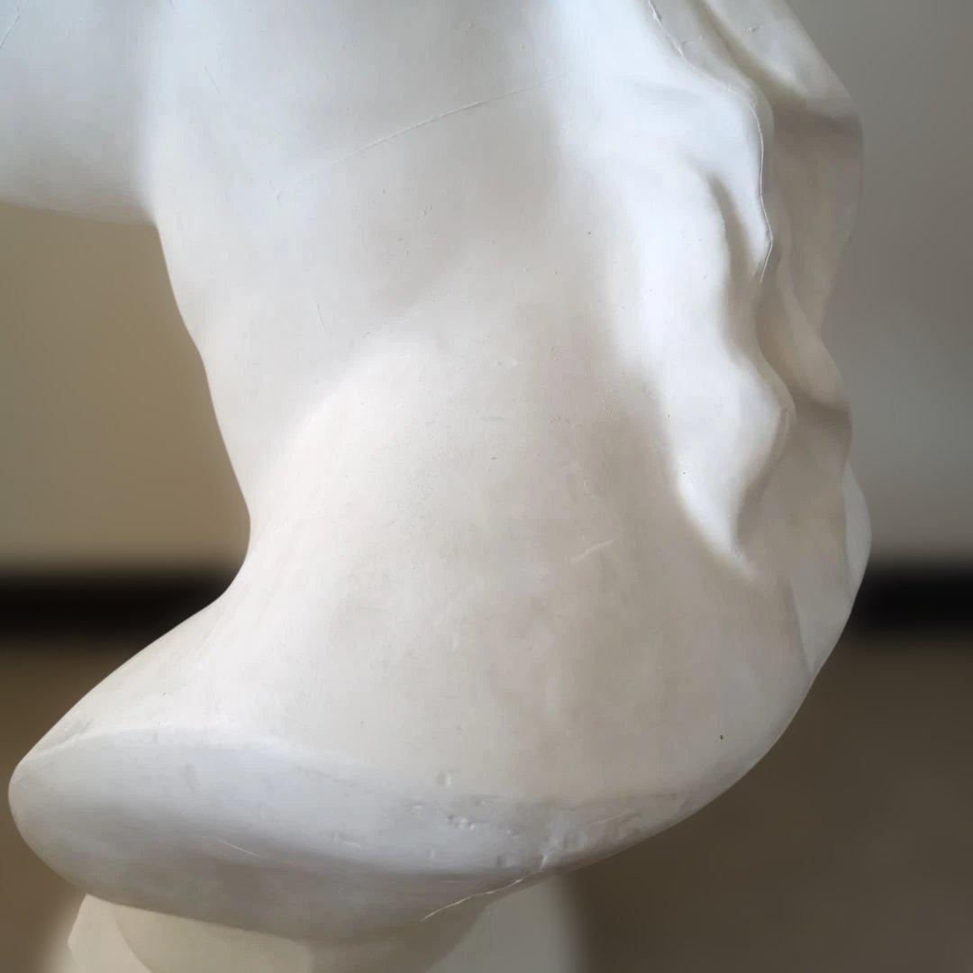 ミロのビーナス石膏像