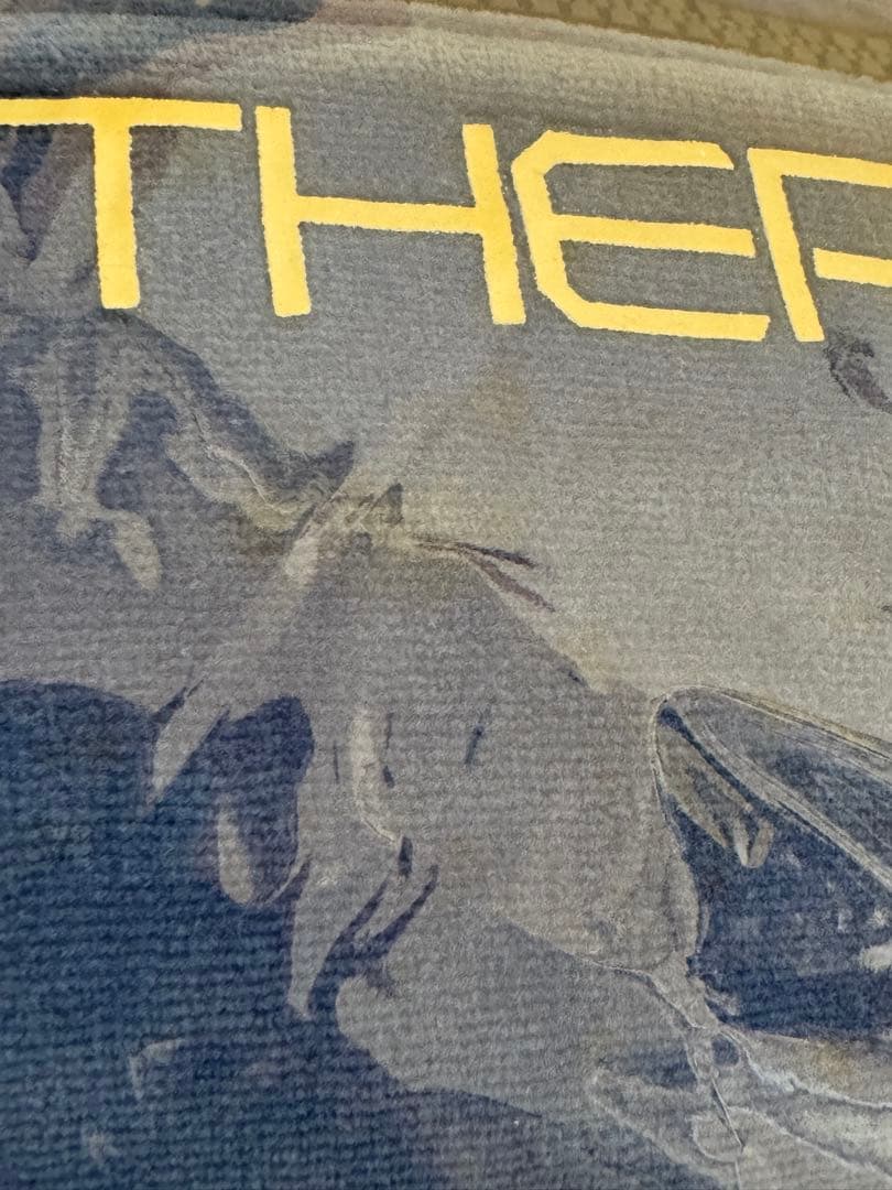 三代目 J Soul Brothers 24 karats ジャージ ジャケット