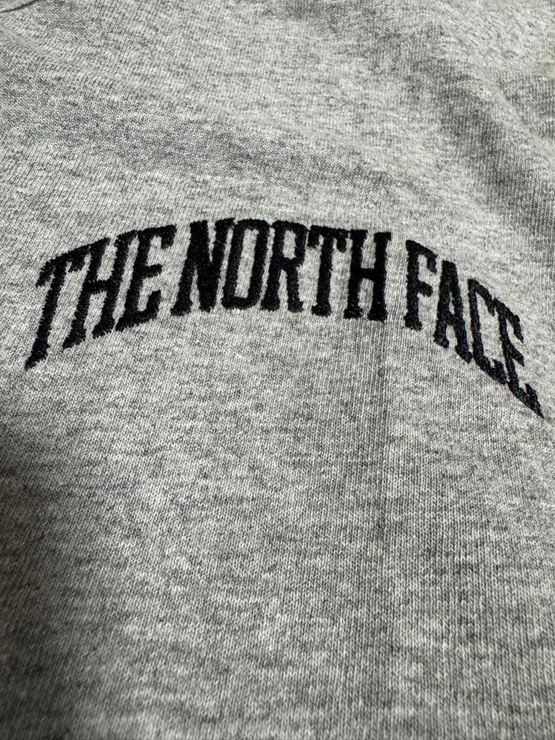 THE NORTH FACE PURPLE LABEL ラグランTシャツ