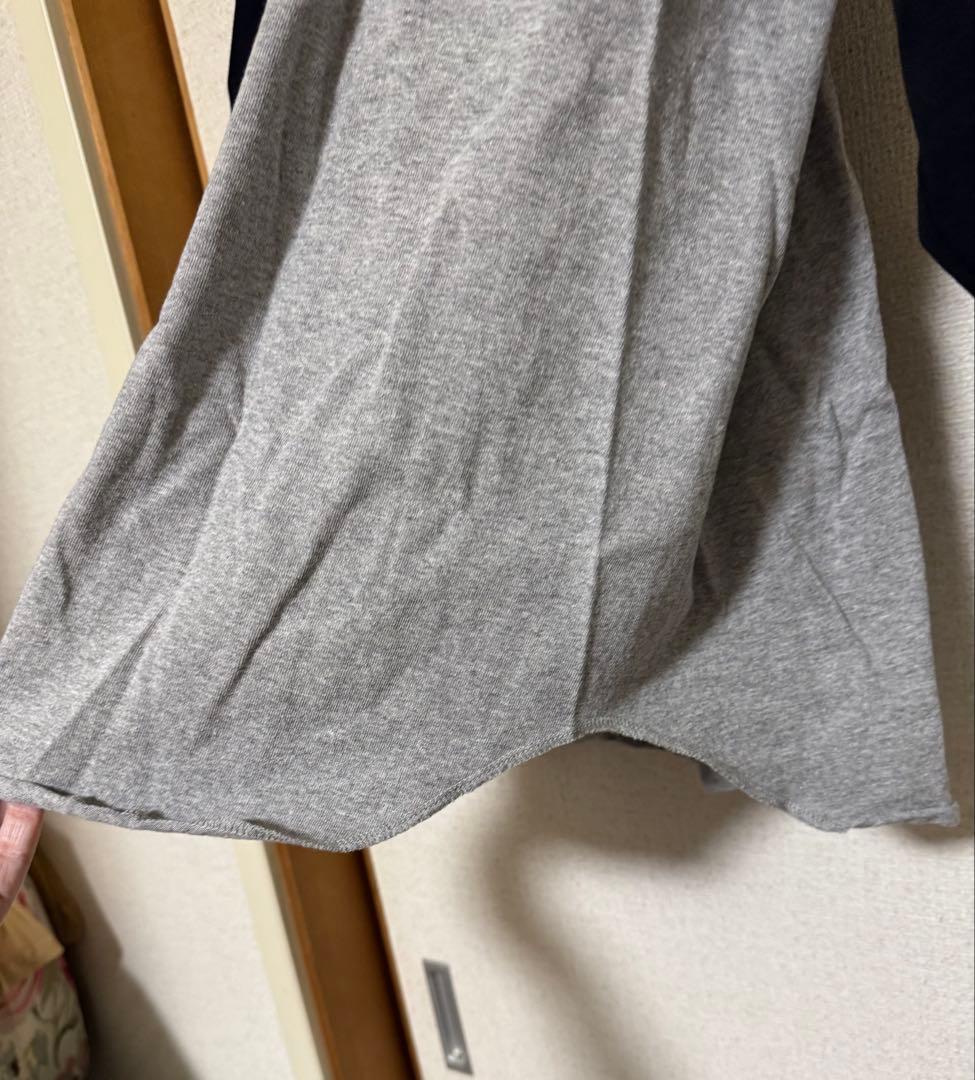 THE NORTH FACE PURPLE LABEL ラグランTシャツ