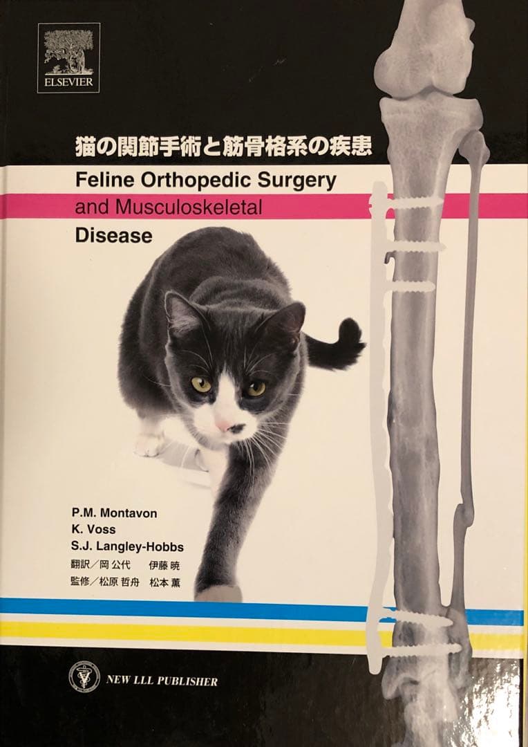 【裁断済】猫の関節手術と筋骨格系の疾患