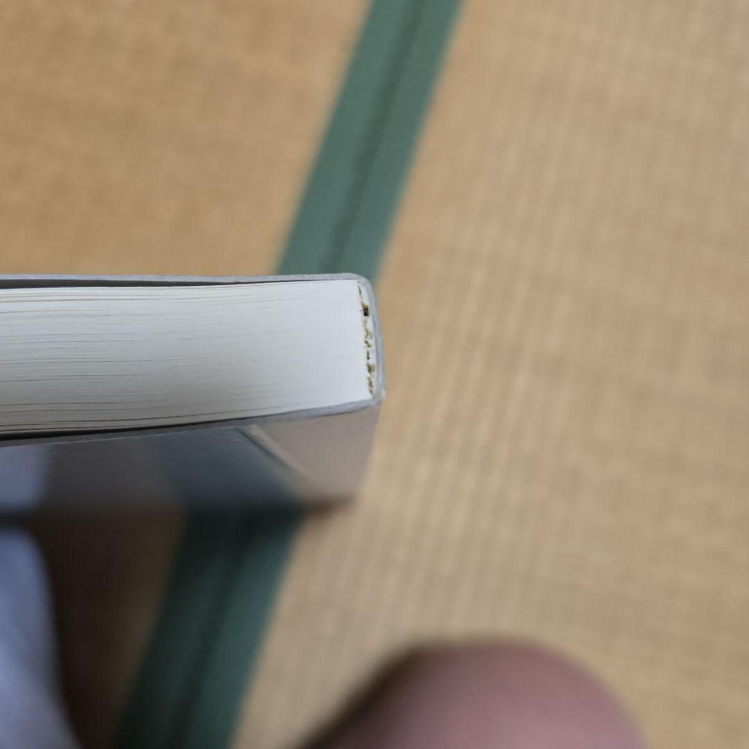 絶版　奈良美智　Drawing File　77点