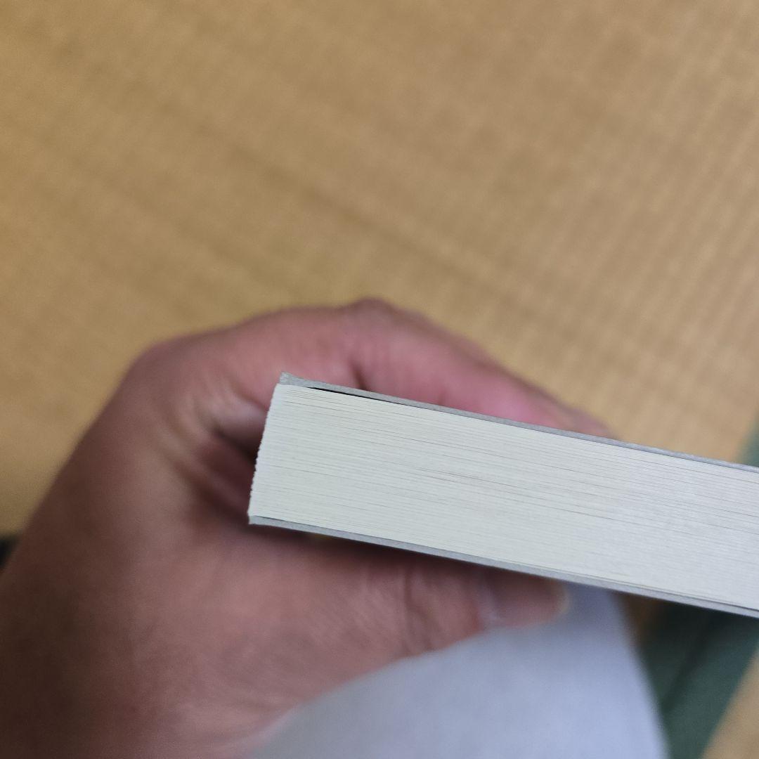 絶版　奈良美智　Drawing File　77点