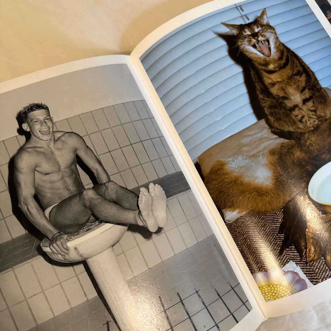 Walter Pfeiffer 絶版 ヴァルター・ファイファー　写真集