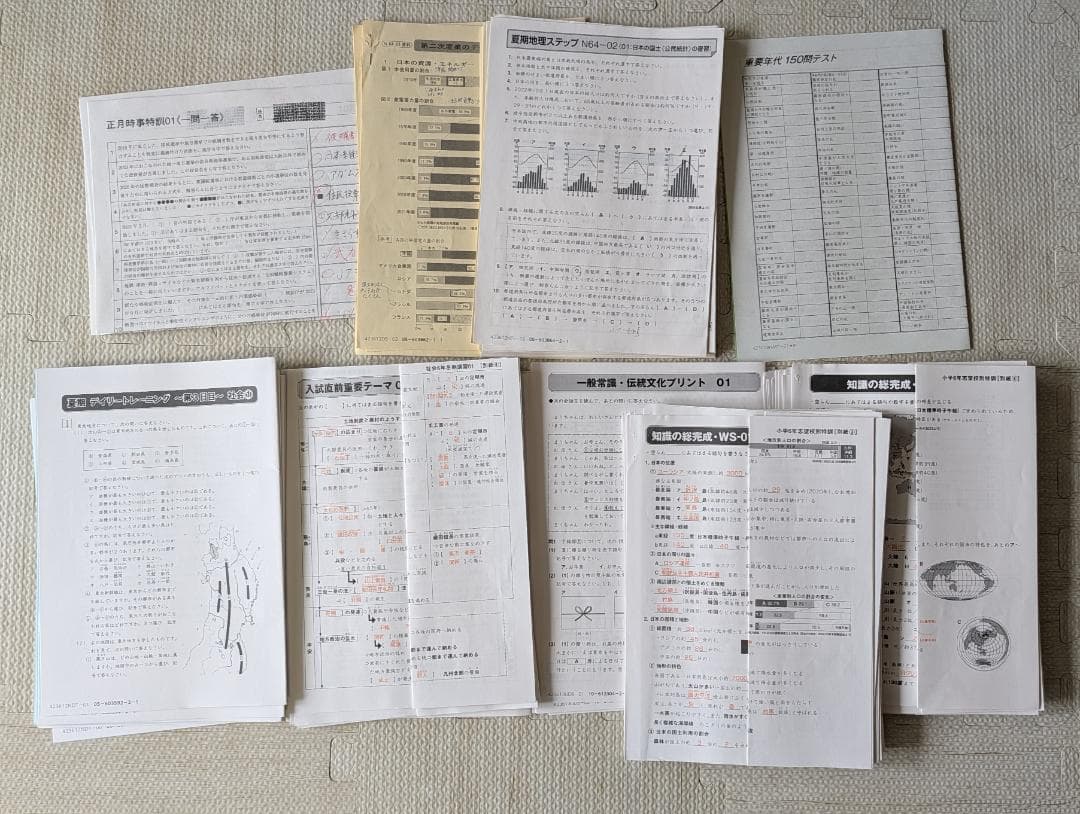 【SAPIX】サピックス 6年 社会テキスト 小6 データバンク・知識の総完成等