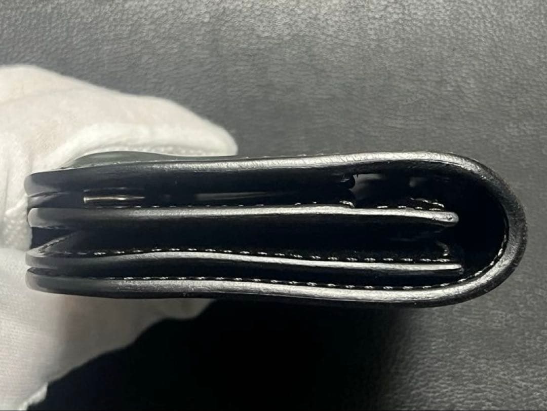 【★ワタ★】ワイルドスワンズ　BLISTER(S) 黒色(マーブル)