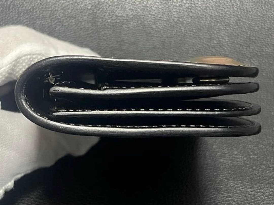 【★ワタ★】ワイルドスワンズ　BLISTER(S) 黒色(マーブル)