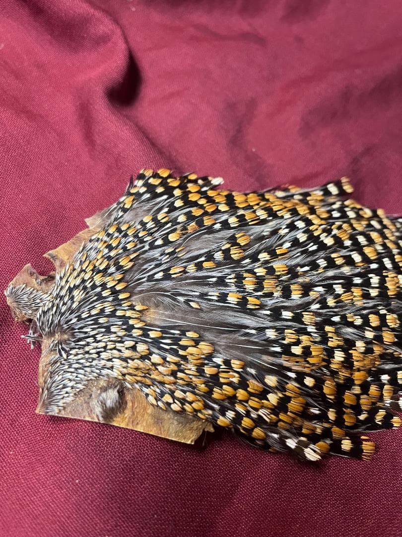 ジャングルコック