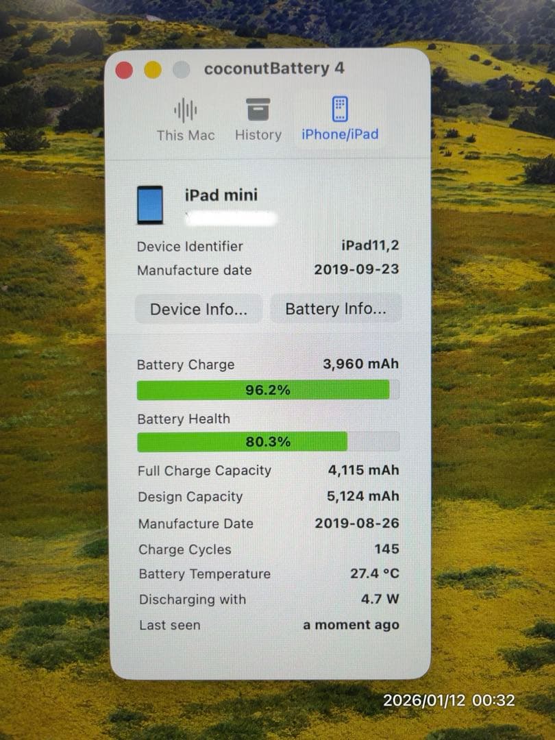 iPad mini 第5世代 64G セルラー Apple pencil付き