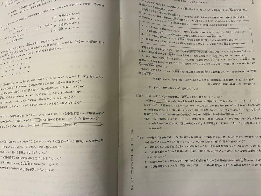 2024年5年　前期 後期フルセット 育成テスト4科 日能研