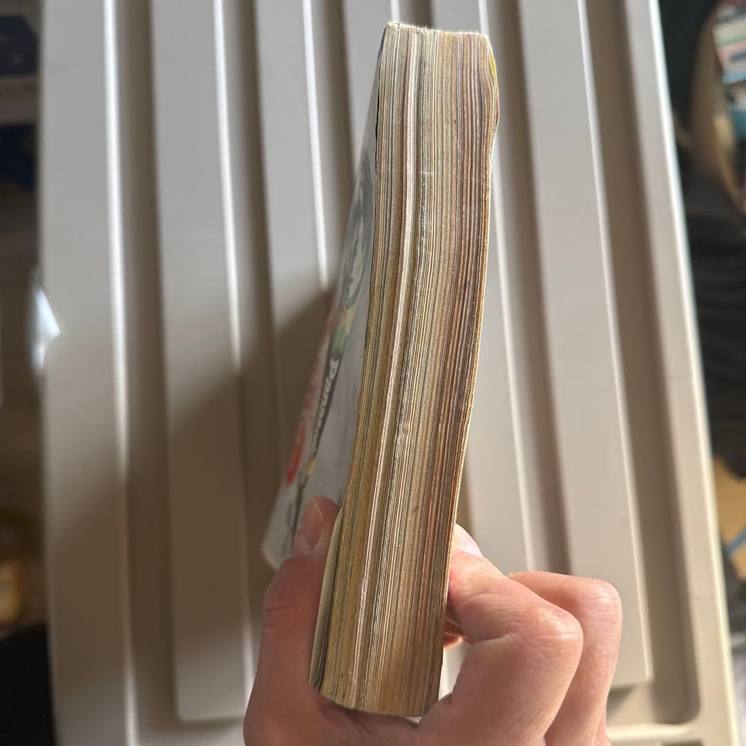 少年ジャンプ1995年25号 ドラゴンボール 最終話