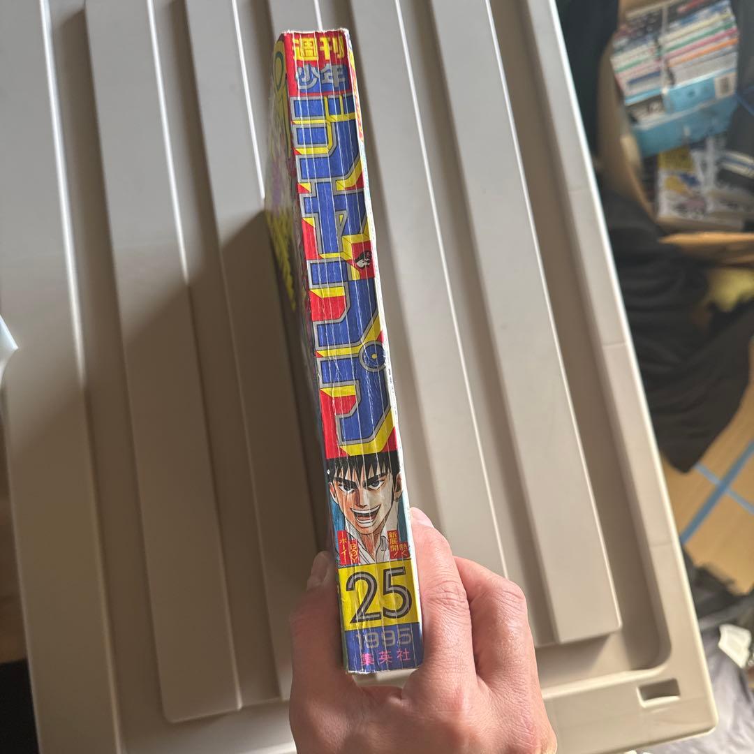 少年ジャンプ1995年25号 ドラゴンボール 最終話