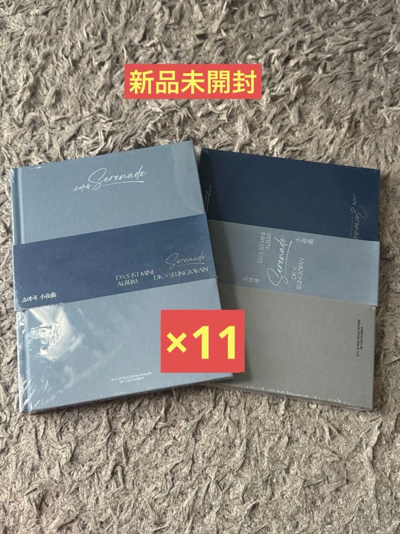 DxS 1st Mini Album「Serenade」新品未開封　22枚セット