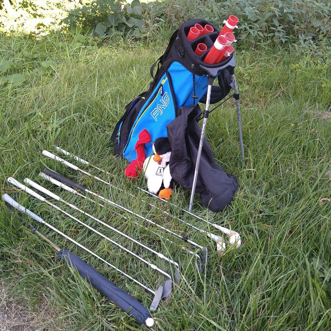 E2, PING キャディバッグ 青ミズノレディースハーフセット, 傘付き