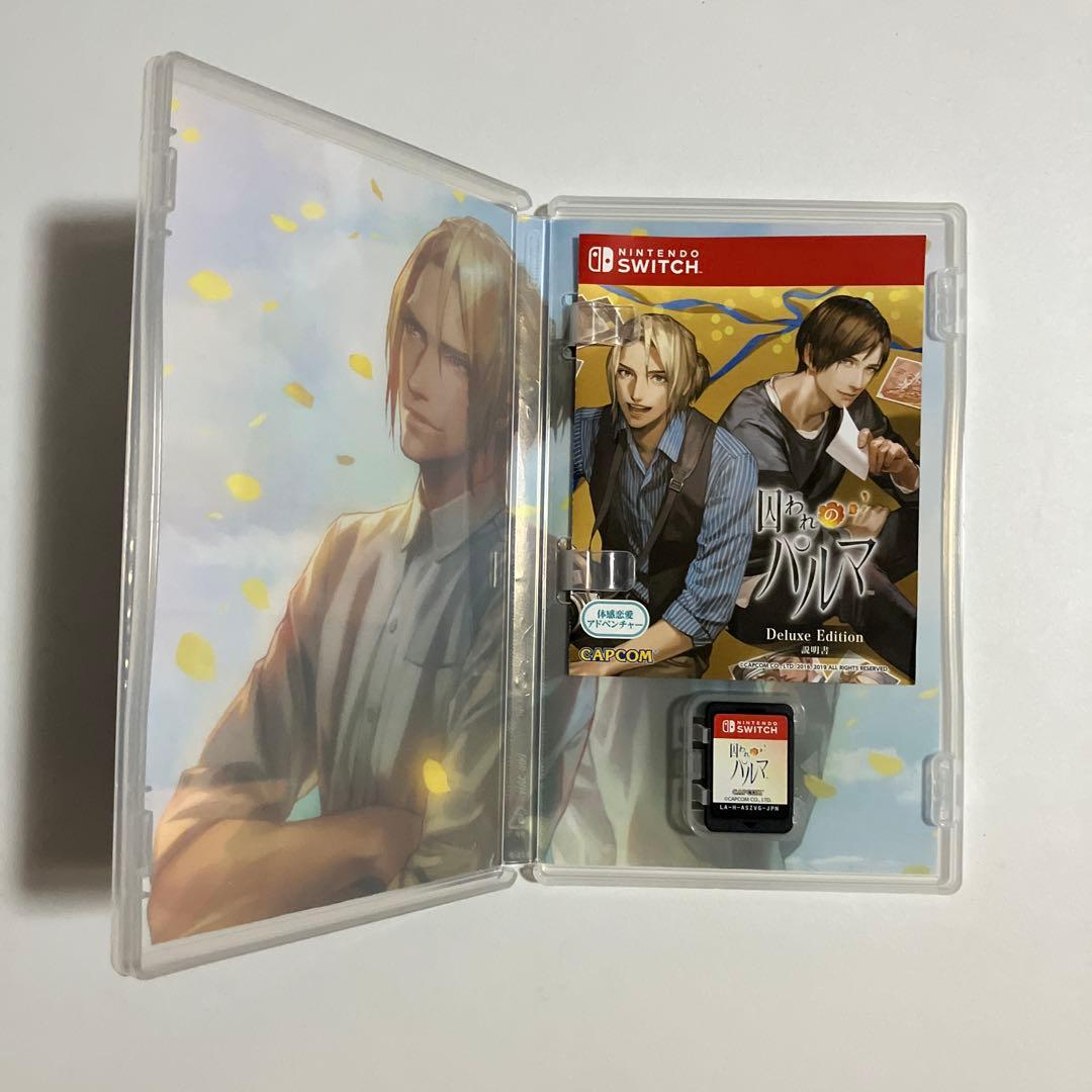 囚われのパルマ デラックス エディション　　switch