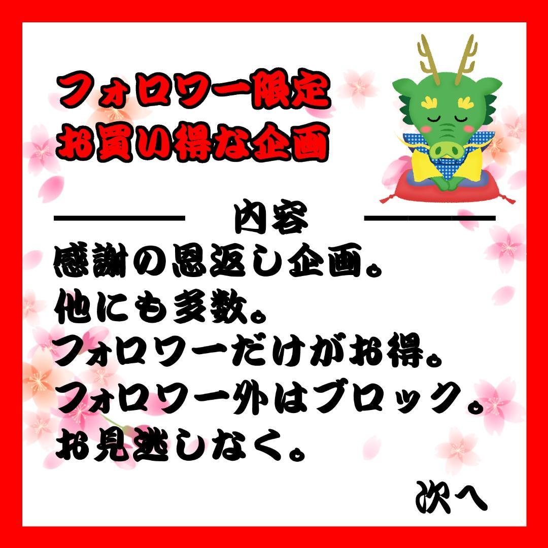 【フォロワー限定300円企画】任天堂 DS ゲーム4本セット