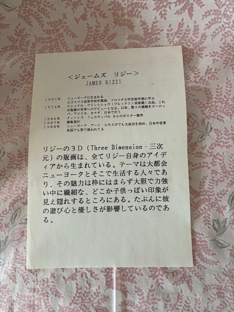 真作■ジェームスリジィ 3Dシルクスクリーン 版画 TRIATHLON■絵画