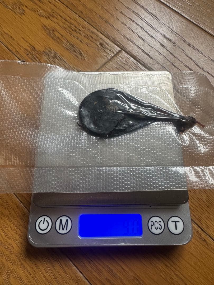 クマさんのたんのう