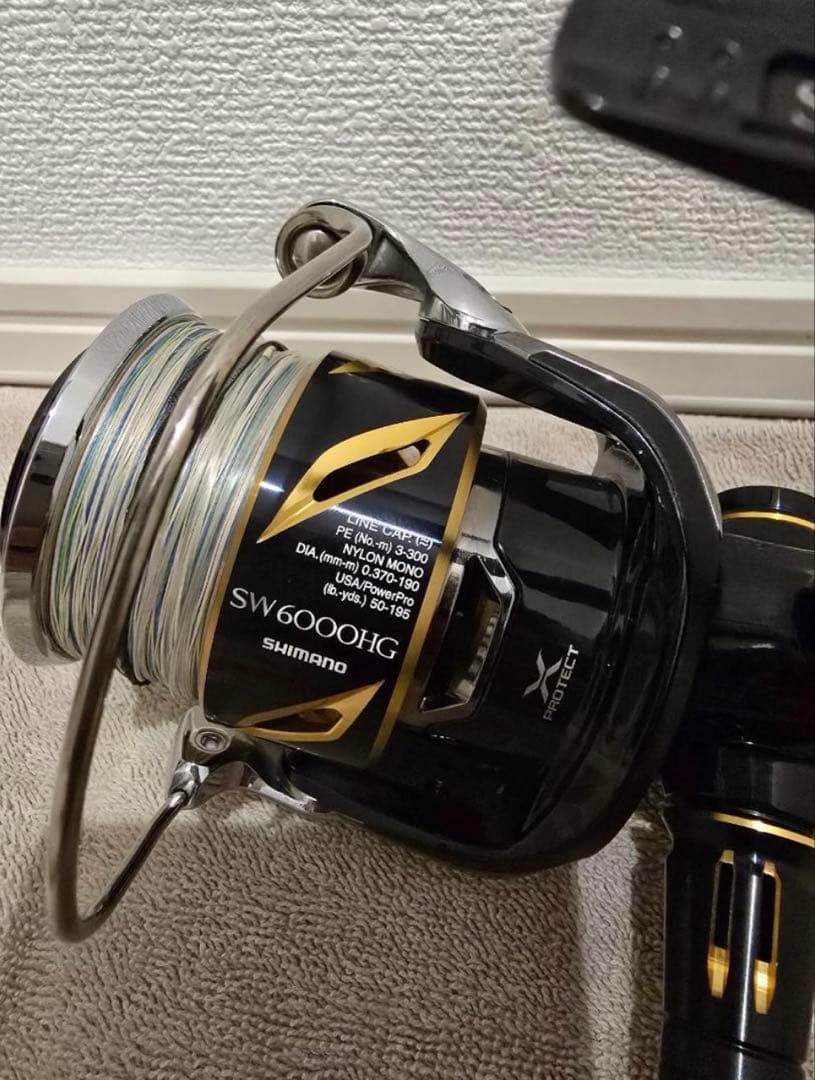 20ステラ　SW6000HG