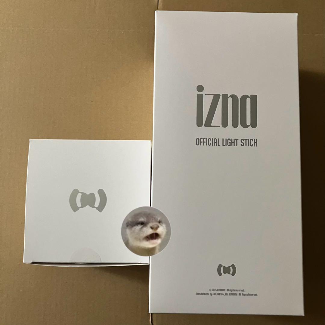 【トレカ無し】izna OFFICIAL ペンライト & ライトバンド　セット