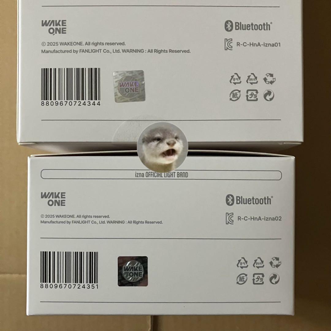 【トレカ無し】izna OFFICIAL ペンライト & ライトバンド　セット