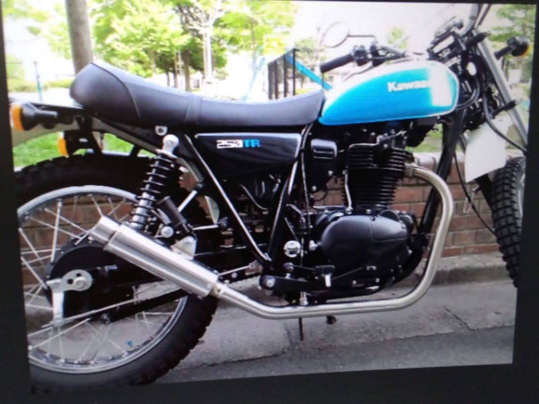 ２５０ＴＲマフラーステンレス製の出品です。