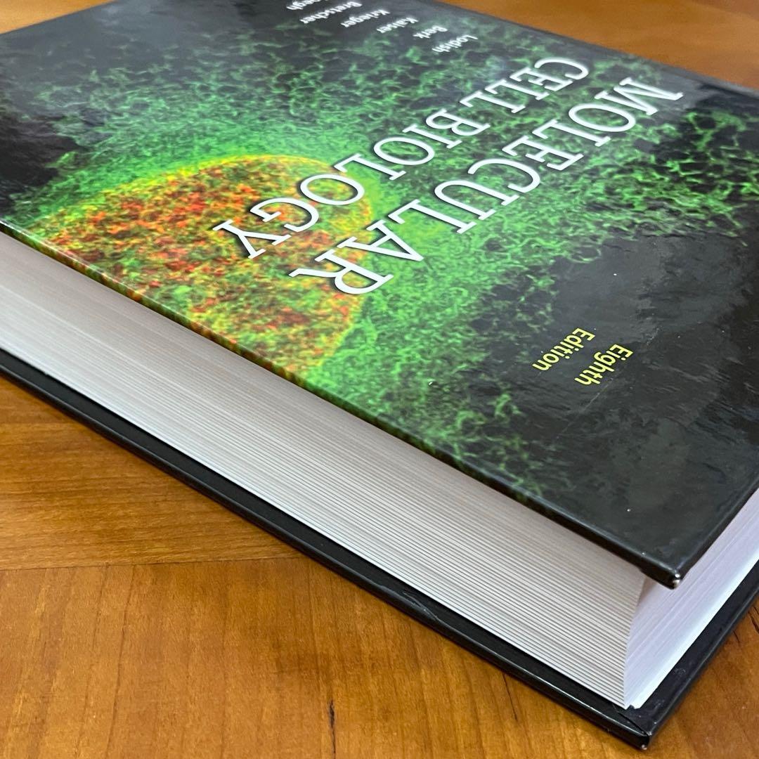 美品【送料込】Molecular Cell Biology 英語版 定価 5万円