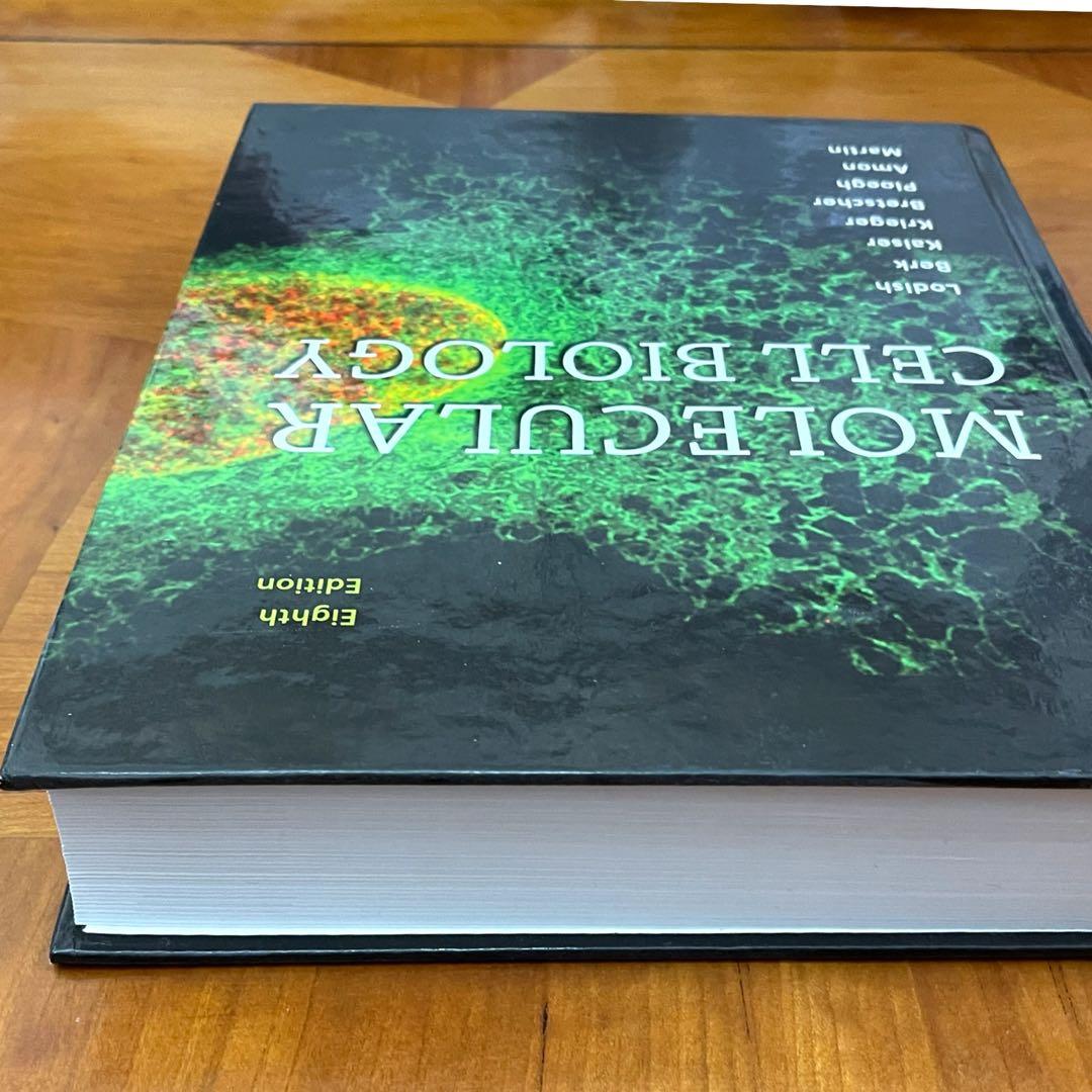 美品【送料込】Molecular Cell Biology 英語版 定価 5万円