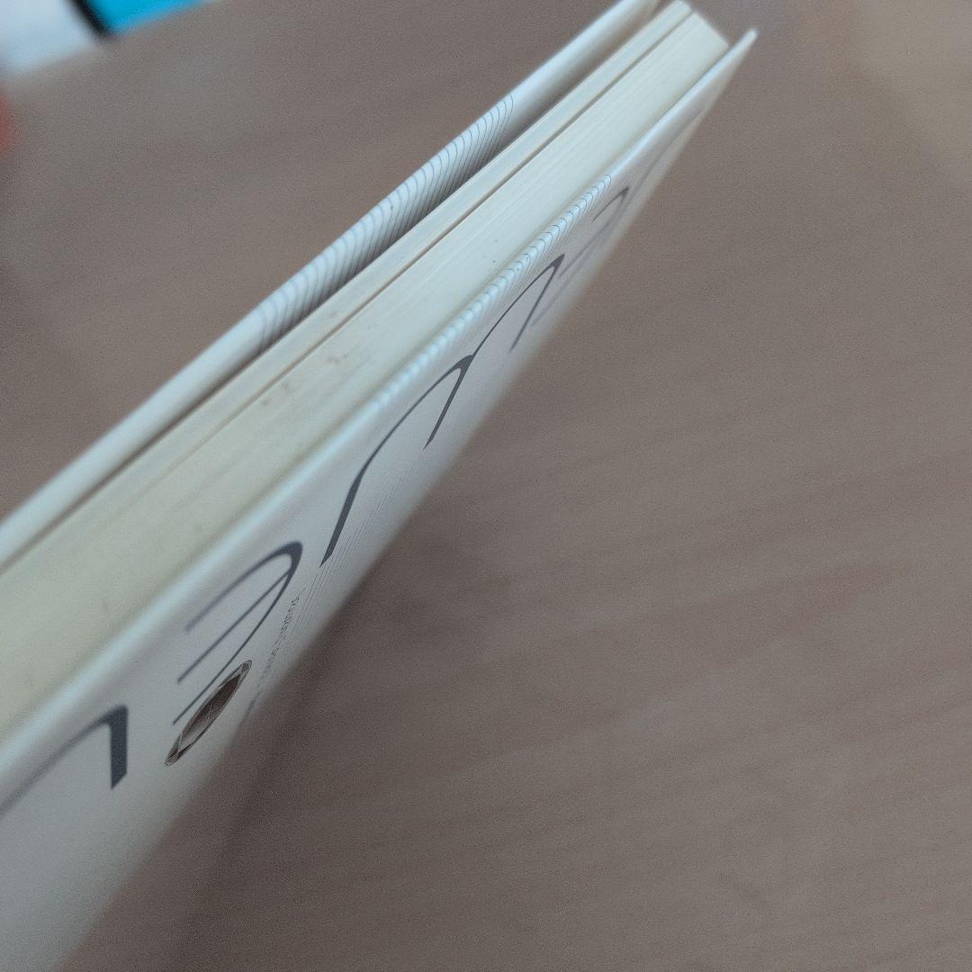 彫金と宝石の彫り留め技法 : 伝統タガネ技法を現代ジュエリーに応用