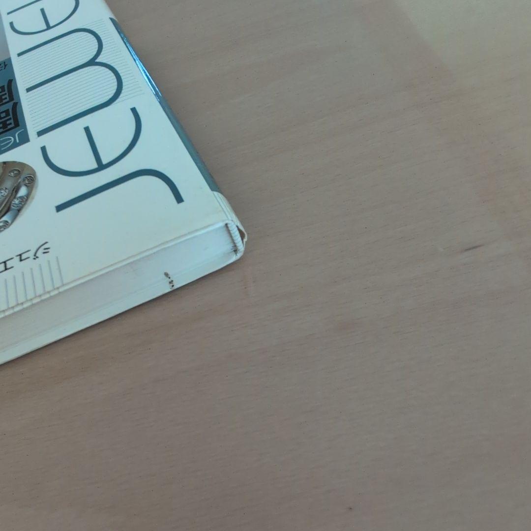 彫金と宝石の彫り留め技法 : 伝統タガネ技法を現代ジュエリーに応用