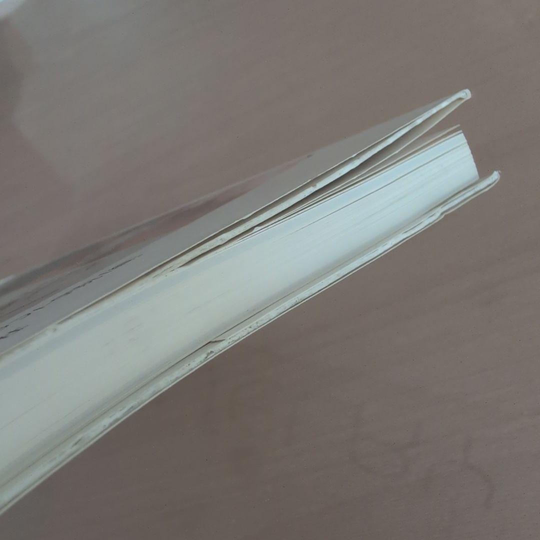 彫金と宝石の彫り留め技法 : 伝統タガネ技法を現代ジュエリーに応用