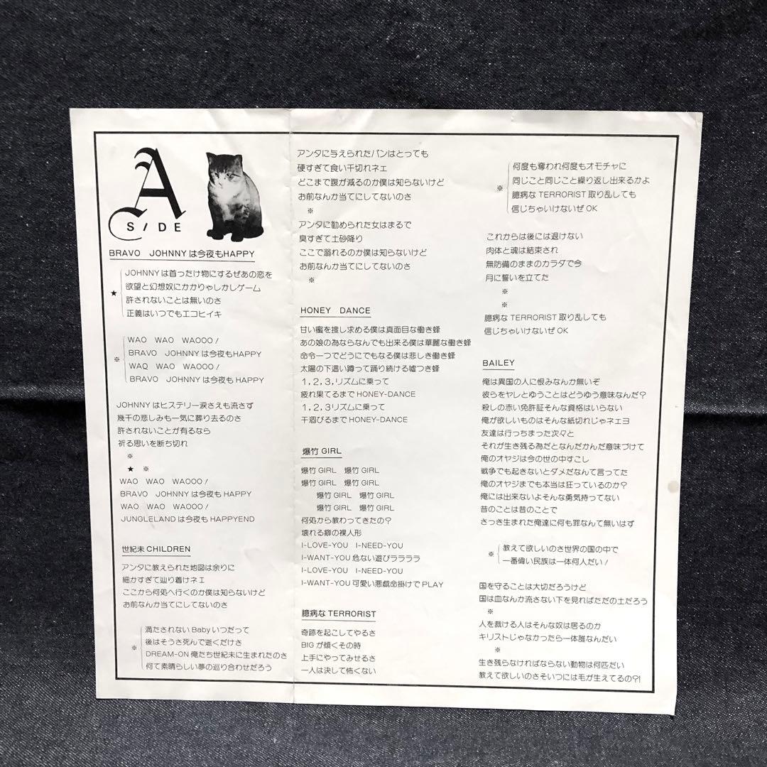 中古LP KENZI ブラボージョニーは今夜もハッピーエンド インディーズ