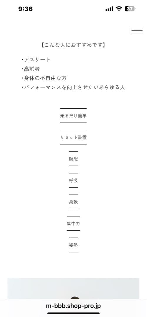 Marumitsu こころのバランスボード