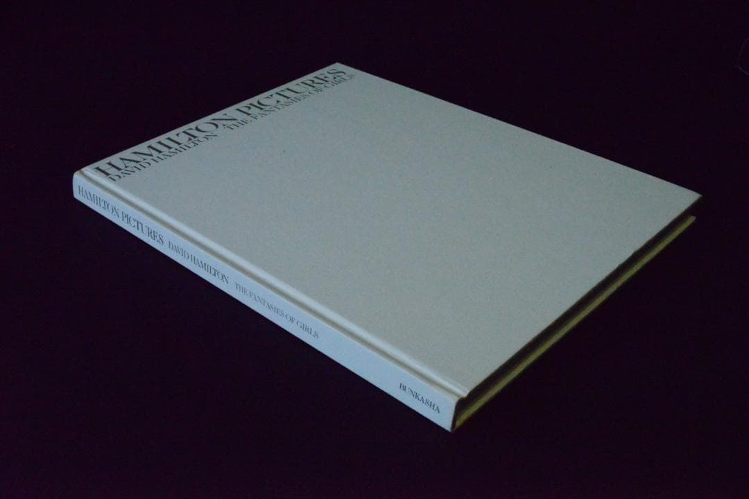 Hamilton Pictures: David Hamilton値下げしました