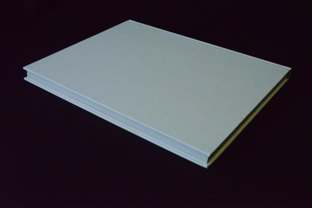 Hamilton Pictures: David Hamilton値下げしました