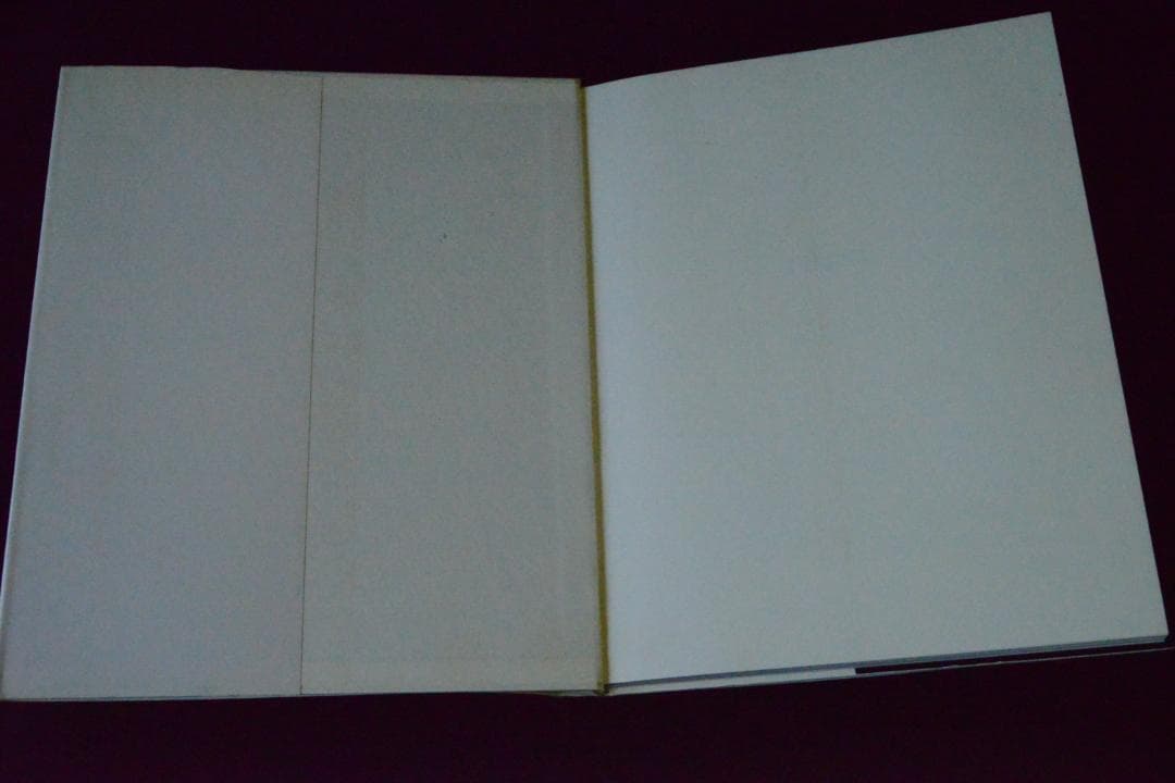 Hamilton Pictures: David Hamilton値下げしました