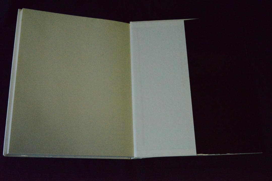 Hamilton Pictures: David Hamilton値下げしました