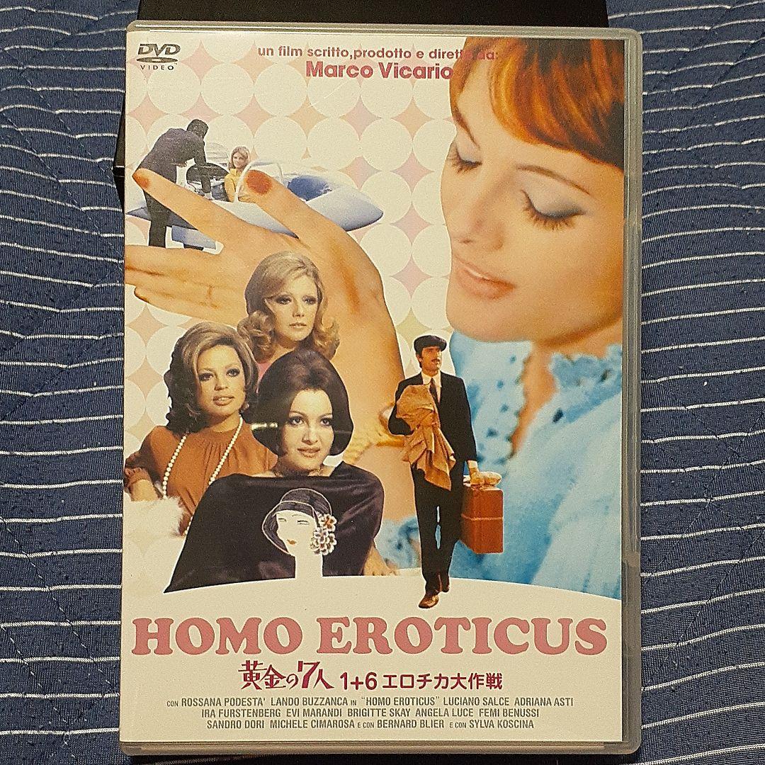 『新・続黄金の七人シリーズDVD