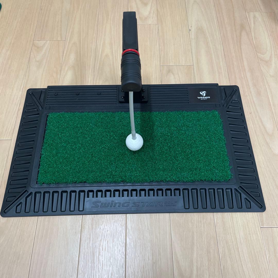 REAL SWING 300 【数量限定】　正規品