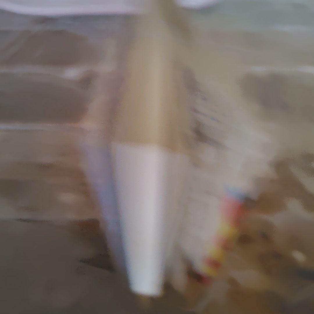 初版本 ドラネコロック 1 鴨川つばめ 少年チャンピオンコミックス