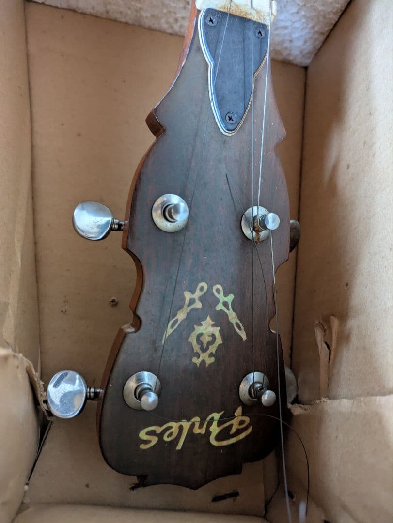 ピアレス　バンジョー5弦　※箱付き