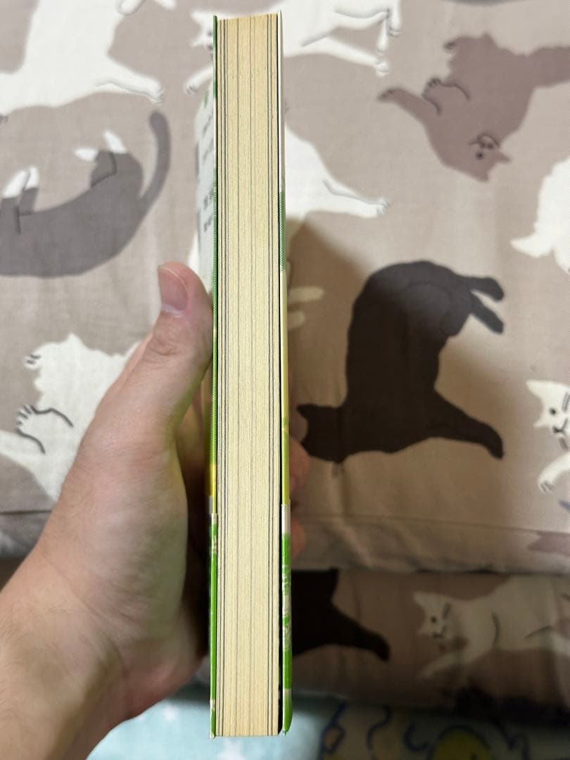 浅野いにお　ひかりのまち　直筆サイン入り