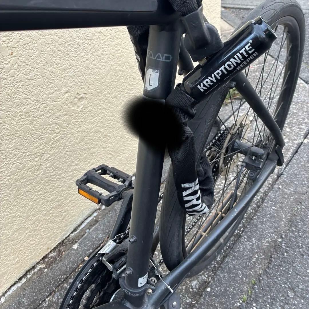 キャノンデール　badboy2 Lサイズ