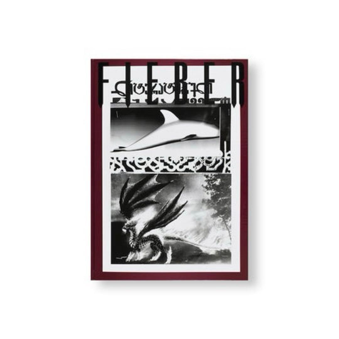 twelvebooks購入 FIEBER by Andro Wekua