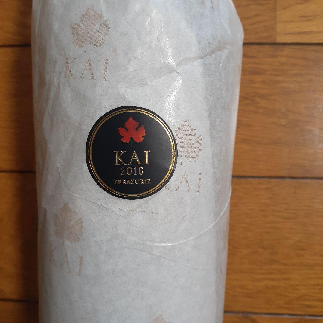 2016年KAI ERRAZURIZ