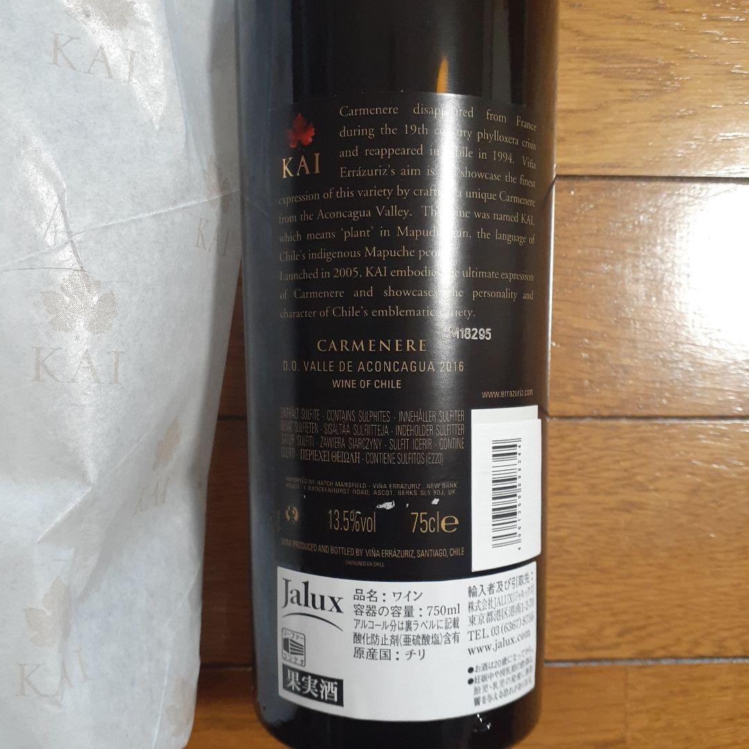 2016年KAI ERRAZURIZ