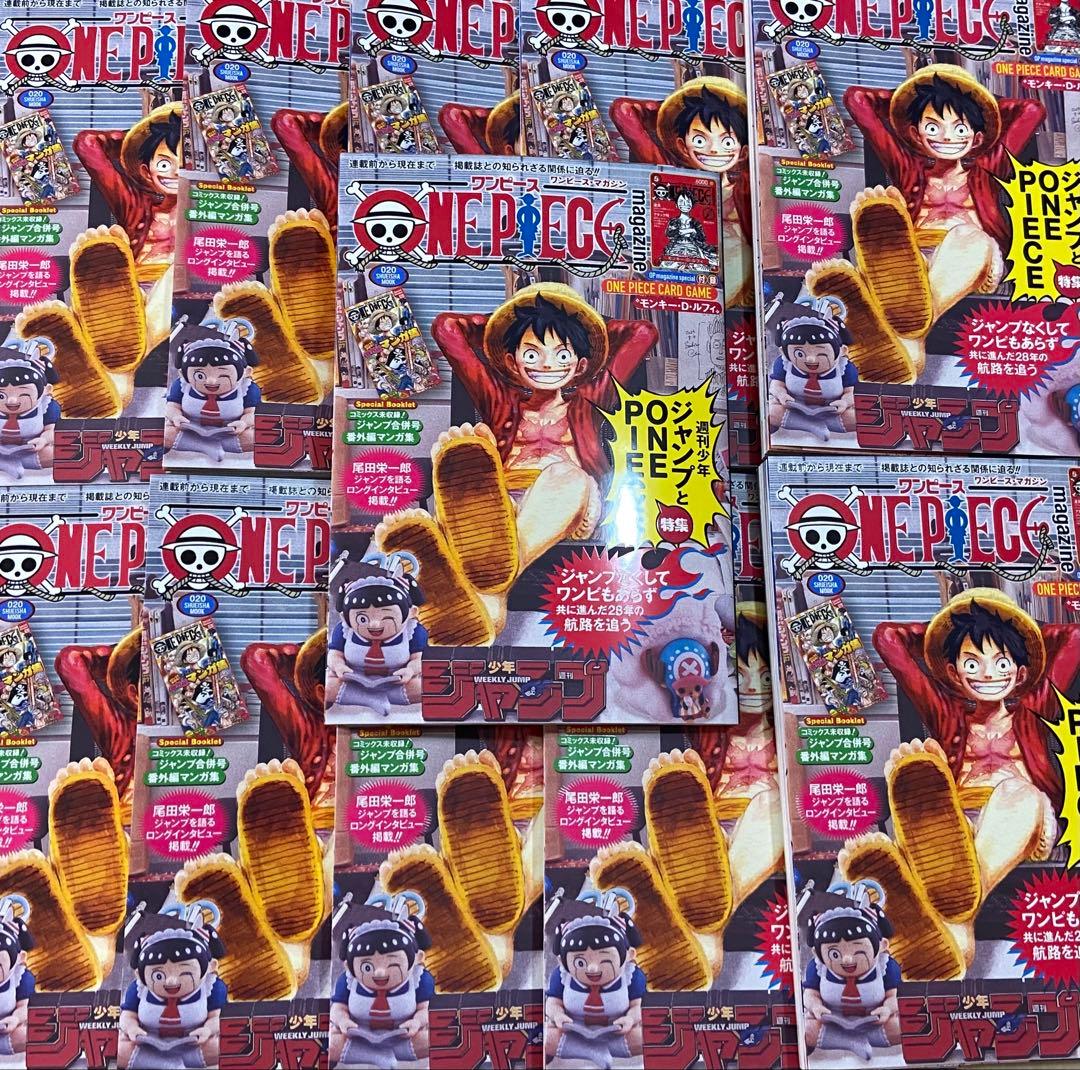 ワンピースマガジン vol.20 11冊