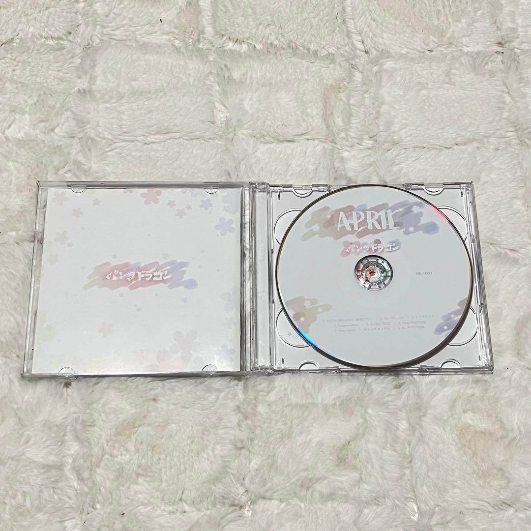 パンダドラゴン パラゴン CD+DVDセット