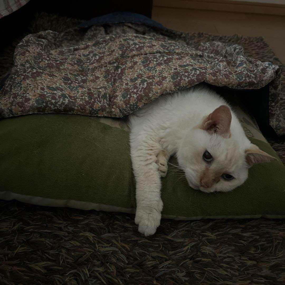 洋書　東野圭吾 『新参者』