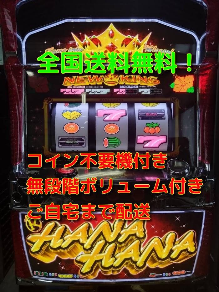 ニューキングハナハナ　DX-30　実機